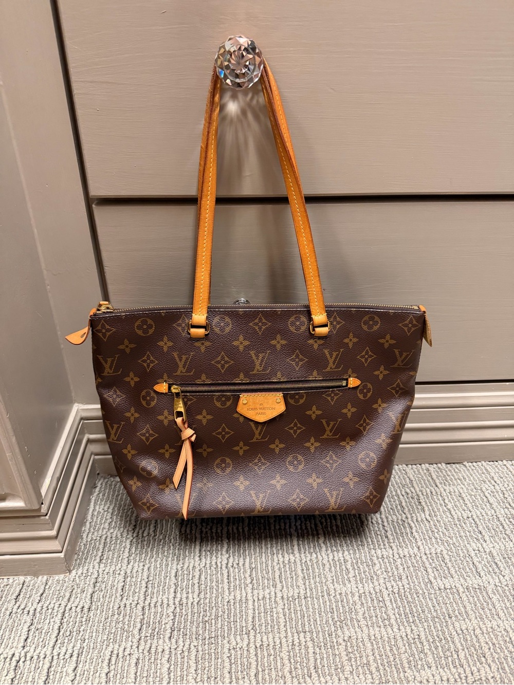 Louis Vuitton IENA PM MNG - Picture 2 of 8
